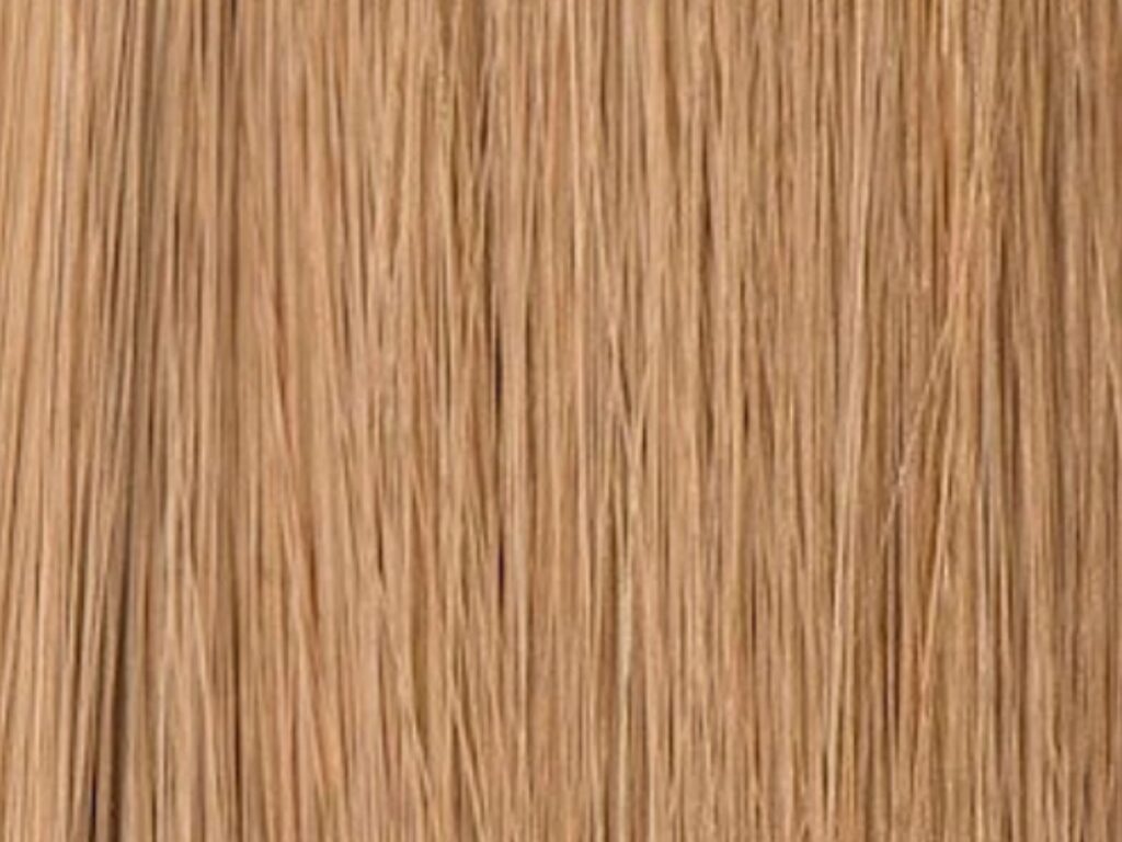 Keratin Hair Extension 69 Keratin Hair Extension 69
