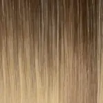 Genius Weft/Flat Weft Extension 39