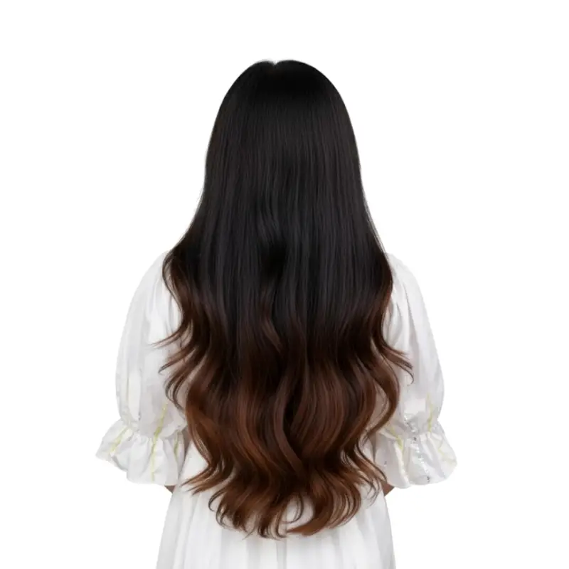 hair extensions clip ombre