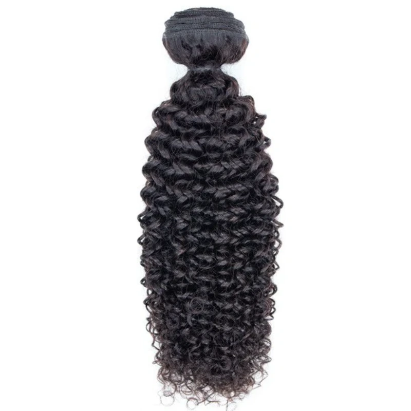 bohemian curly hair bundles
