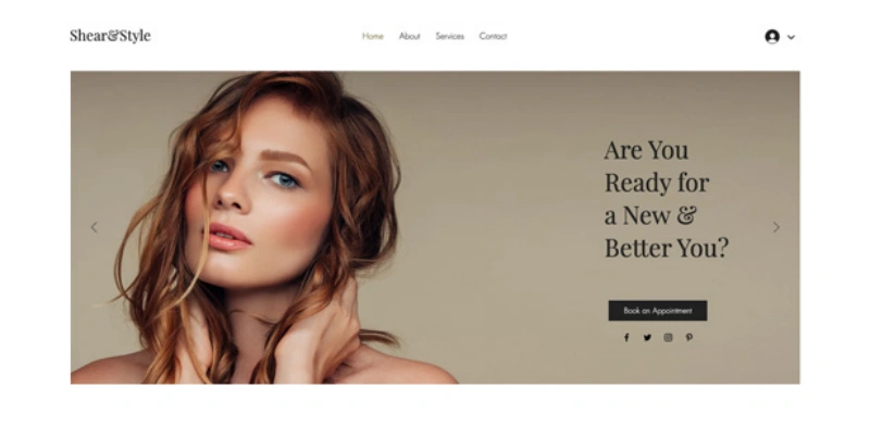 create a professional website