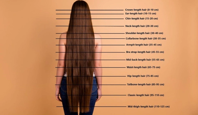 hair length
