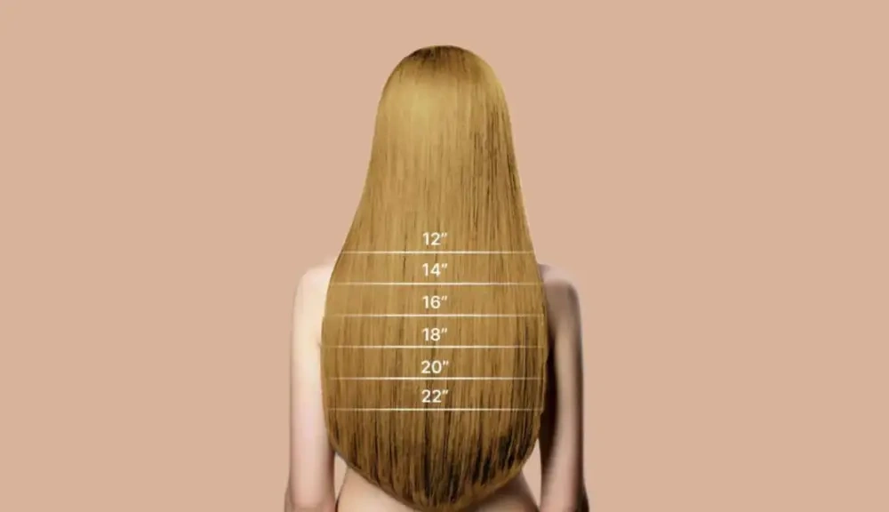 16 Inch vs 20 Inch Hair Extensions: Which Is Better? 3 if you are choosing lengths for a salon or hair brand