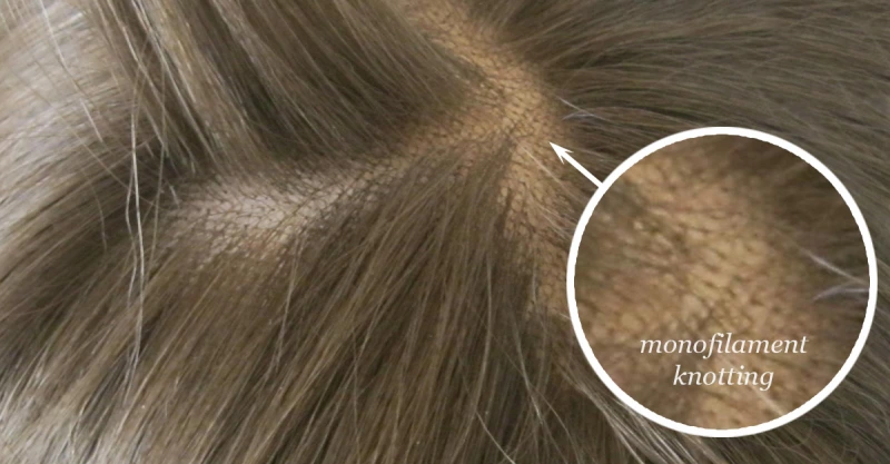 What is a Monofilament Wig? Everything You Need to Know 2 monofilament wig natural look