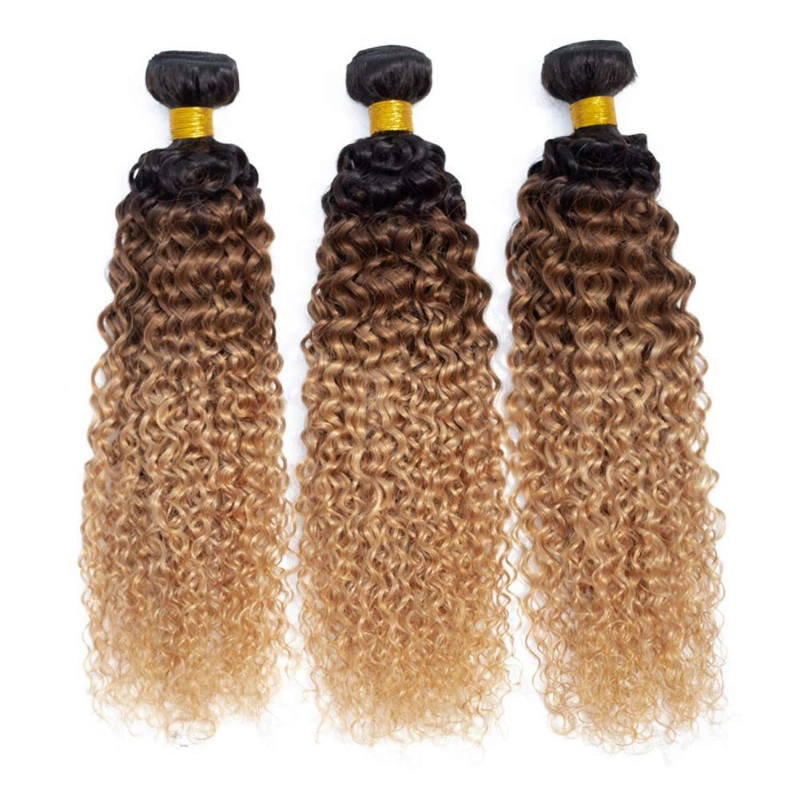 ombre curly hair bundles