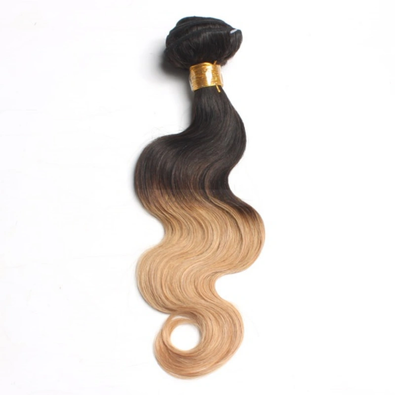ombre virgin hair bundles