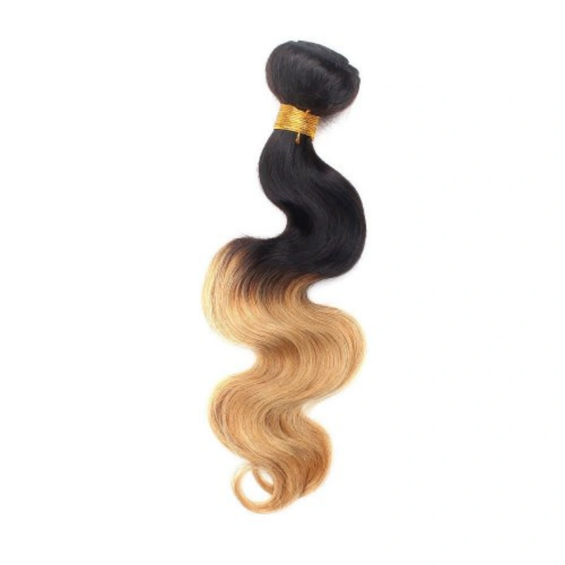 ombre brazilian hair bundles