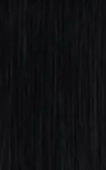 Hair Extension Color #1 Jet Black — 100% Remy Human Hair