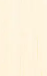 Hair Extension Color #1001 Icy Blonde — Cool Icy Tone