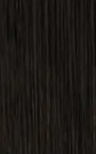 Hair Extension Color #1A Natural Black — Salon Grade