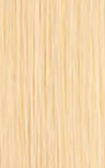 Hair Extension Color #20 Light Blonde — Salon Quality