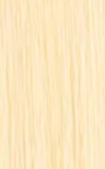 Hair Extension Color #613 Bleach Blonde — Professional