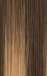 Hair Extension Color DU Dimensional Highlighted — Multi-Tone