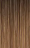 Hair Extension Color R2-6 Rooted Dark Brown — Natural Root