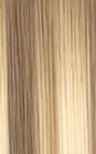 Hair Extension Color T8A-8A-613 Ombre Ash to Bleach Blonde