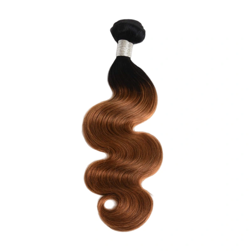 ombre human hair bundles