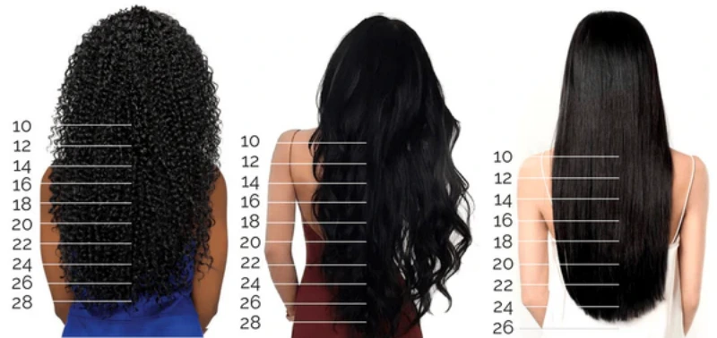hair texture and wig length chart