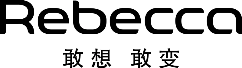 8 Human Hair Manufacturers in China for Salon Professionals 2 henan rebecca hair