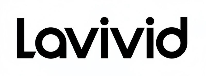 Top 10 Human Hair Toupee Manufacturers Worldwide 2 lavivid hair