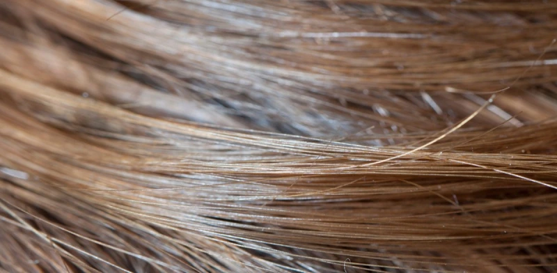 What to Look for in a Hair Extension Factory Tour? 1 hair origin verification
