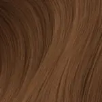 wholesale-salons 28 Alpha Hair shade #10 hestnut Brown swatch