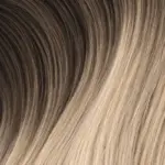 wholesale-salons 30 Alpha Hair shade #2/24 rown / Creamy Blonde swatch